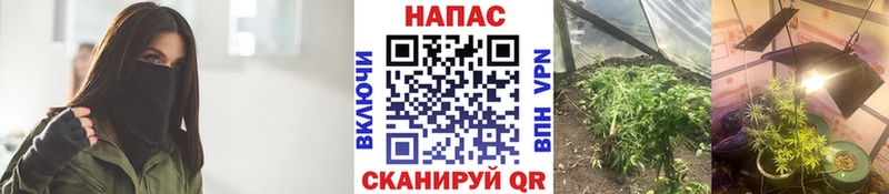 Купить закладки  Городец  МАРИХУАНА планчик 